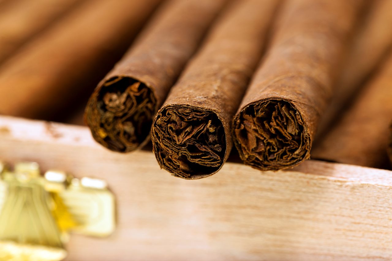 close up shot of cigars